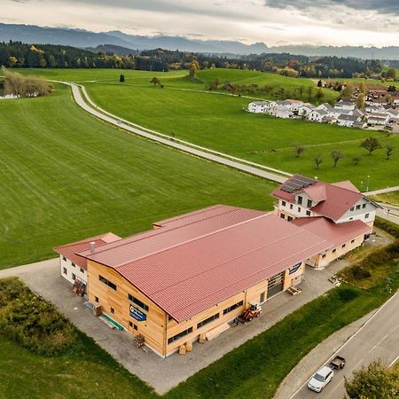 Bodensee Apartment Allgaeu Alpenblick 반겐임알가우 외부 사진